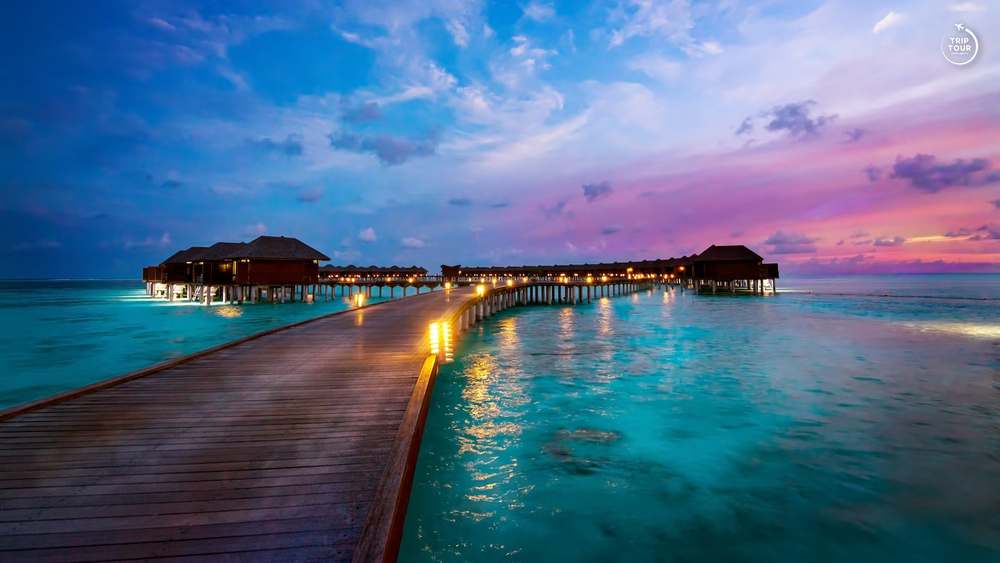 Araamu Holidays & Spa