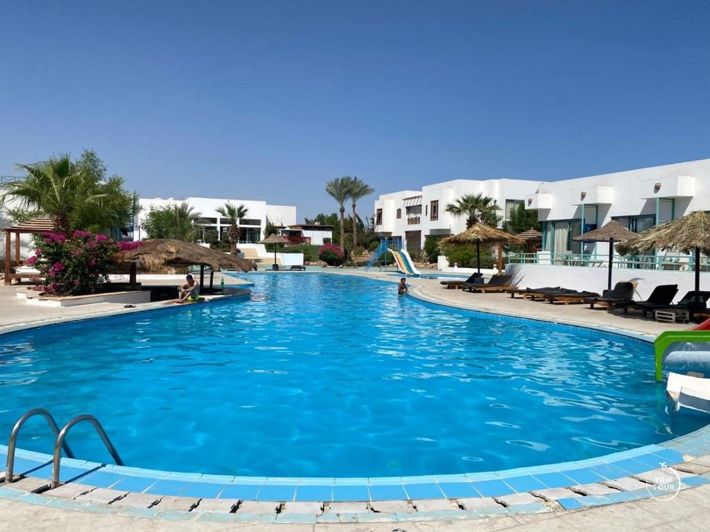 Misr · Sharm ash-Shayx
