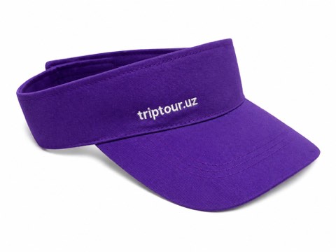 Sun visor