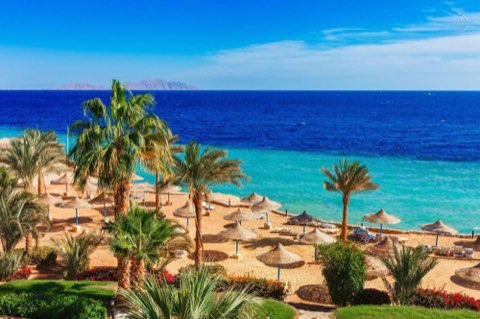 Falcon Naama Star