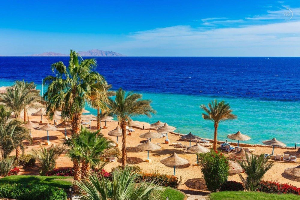 Egypt · Naama Bay