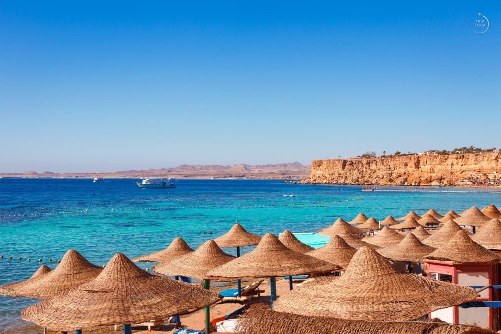 Misr · Sharm ash-Shayx