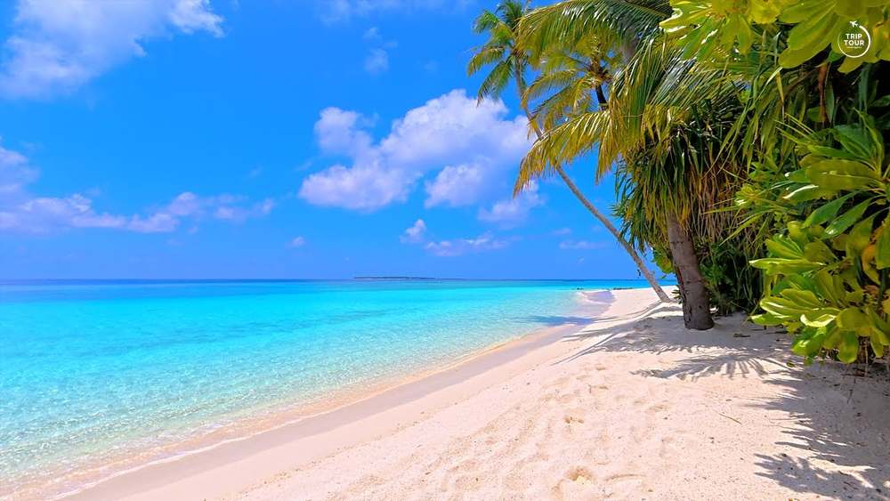 Maldives · Dhiffushi