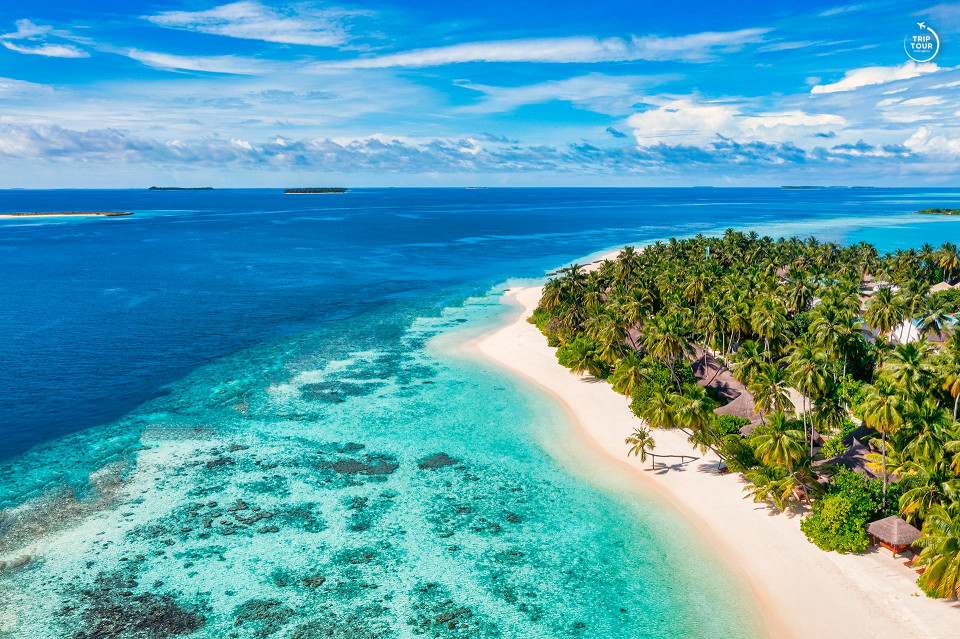 PERLA DHANGETHI