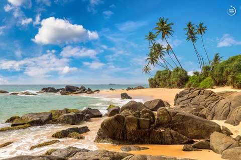 Shri-Lanka
