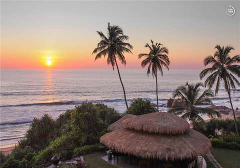 Hansa Surf